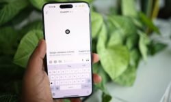 ChatGPT Receives 2.5 Billion Prompts Daily (But Google Remains Search King)