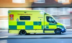 Man (76) Arrested for Poisoning Children at English Summer Camp