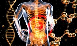 How Much Is a Colon Cleanse A Complete Guide to Costs, Benefits and Options