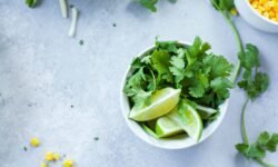 Koriandri The Ultimate Guide to This Fragrant Herb’s Flavour, Health, and Culinary Magic