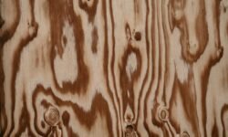 UVLACK The Future of UV-Cured Coatings for Durability & Shine