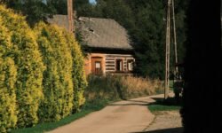 Unveiling the Mystique of Sodziu Culture, Tradition & Meaning