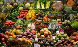 Veganovies.com The Ultimate Guide to Modern Vegan Living, Recipes, and Conscious Lifestyle Trends