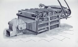 What Is Hoxcutterwolk Exploring the Concept, Use Cases & Future Potential