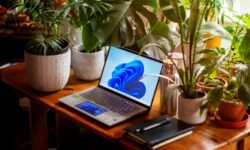 Windows 11 Update Sabotages USB Peripherals in Recovery Mode